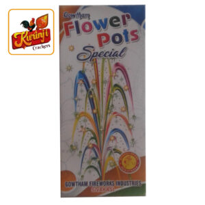Flower Pots Special