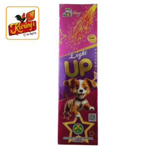 Light Up Torch