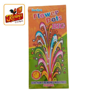 Flower Pots Big
