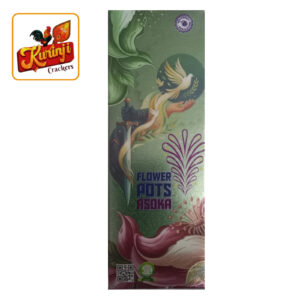Flower Pots Asoka